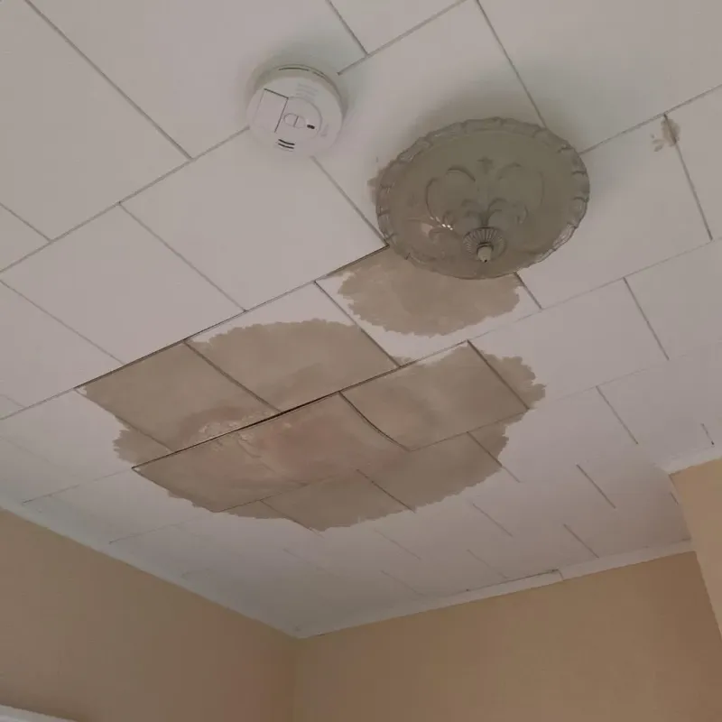 Ceiling Water Damage Repair in Bay City, OR