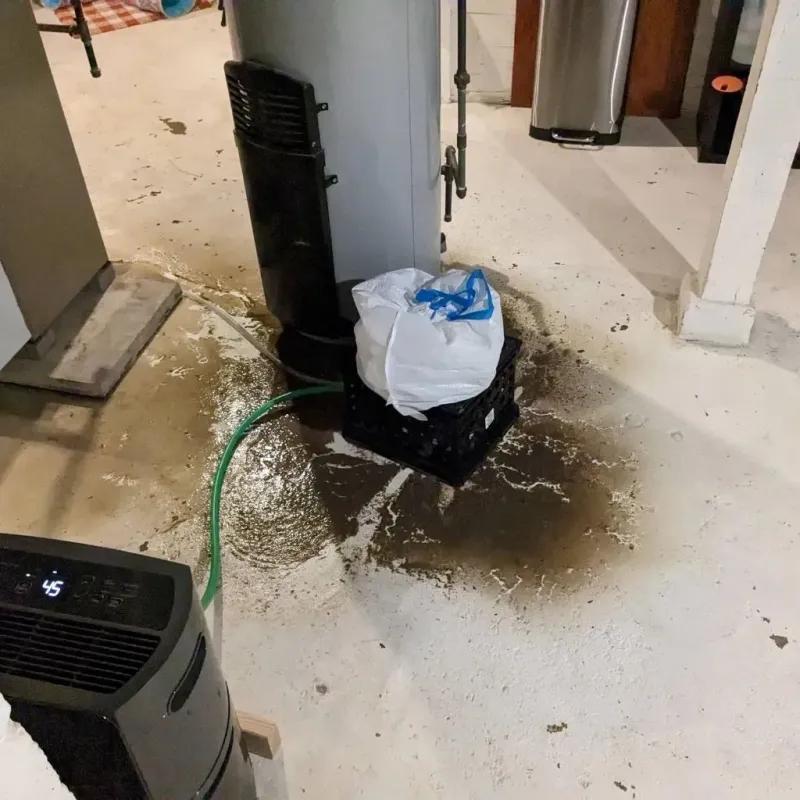 Sewage Backup Cleanup Service in Bay City, OR